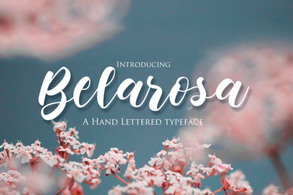 Belarosa: A Chic Script Font for Modern Branding