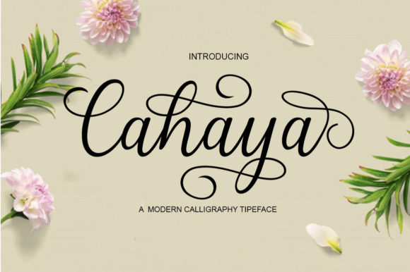 How Cahaya Transformed My Brand’s Visual Identity