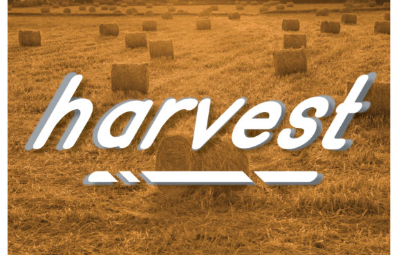 How Harvest Font Transformed My Brand’s Visual Identity