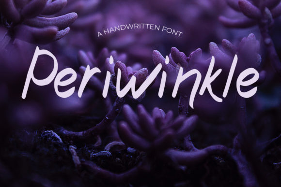 Periwinkle: A Script Font for Thoughtful Design