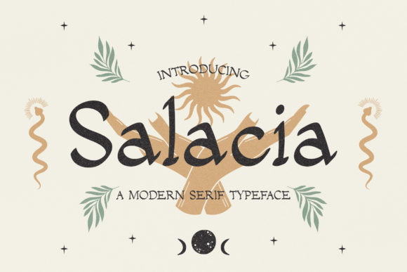 Salacia: The Serif Font That Elevates Your Campaigns