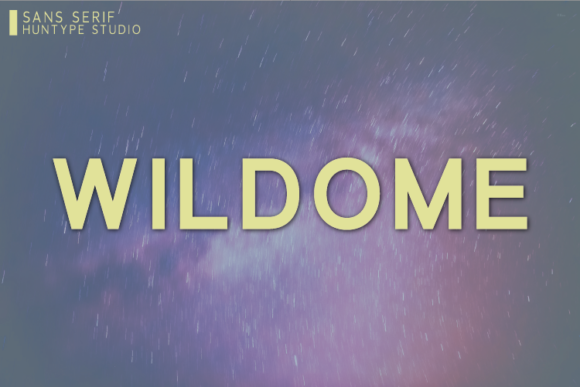 Wildome: A Simple Sans Serif Font That Elevates Branding