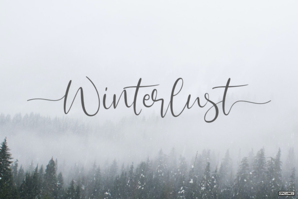 Winterlust Font for Web Design and Branding